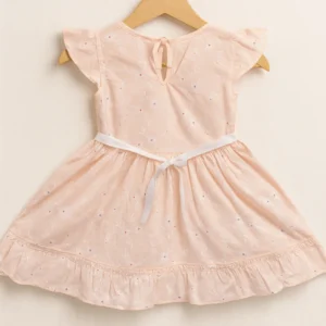 Blossom Embroidered Fairy Frock