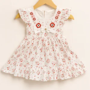 Daisy Embroidered Blush Frock