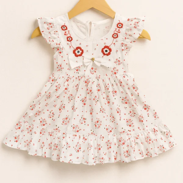 Daisy Embroidered Blush Frock