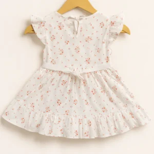 Daisy Embroidered Blush Frock