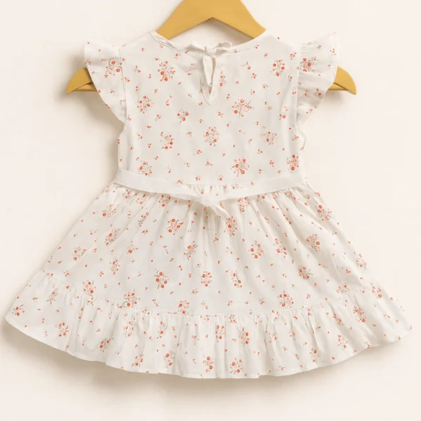 Daisy Embroidered Blush Frock