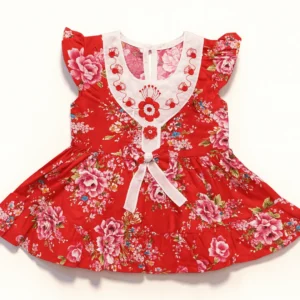 Embroidered Floral Frock