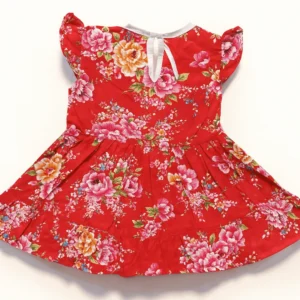 Embroidered Floral Frock