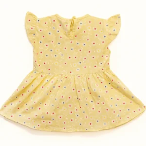 Embroidered Floral Polka Frock