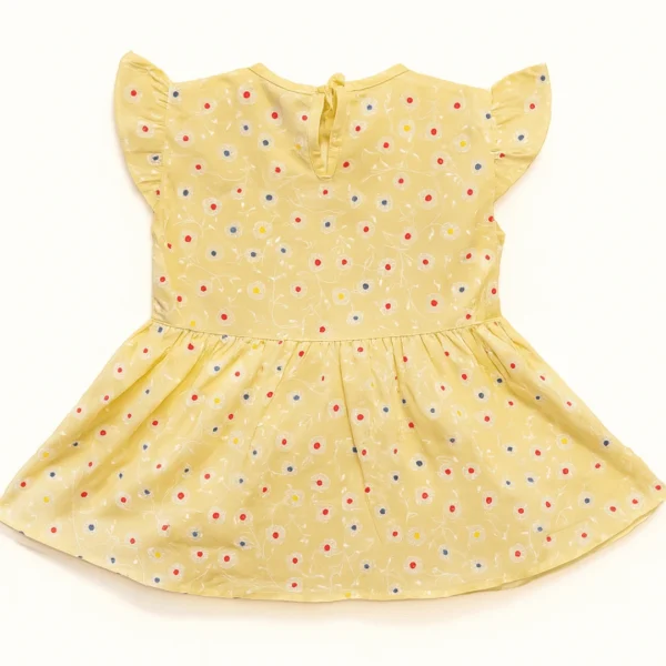 Embroidered Floral Polka Frock