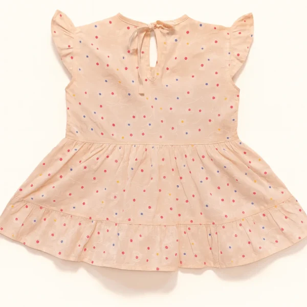 Embroidered Floral Polka Frock