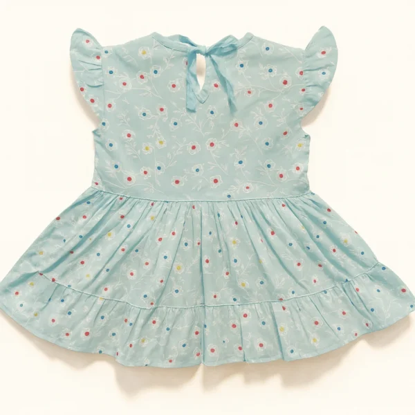 Embroidered Floral Polka Frock