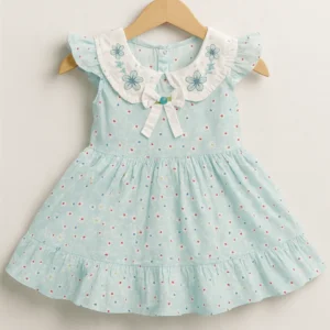 Petal Embroidered Frock