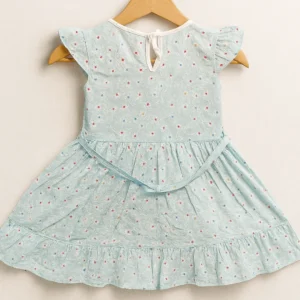Petal Embroidered Frock