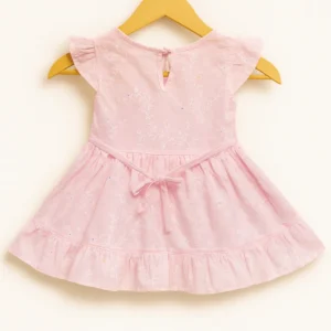 Petal Embroidered Princess Frock